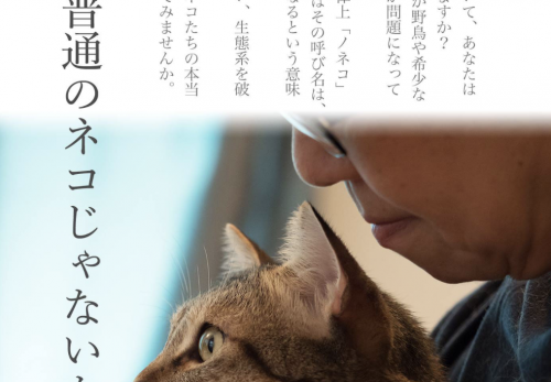 記事一覧 Officeひるねこ Life Is A Journey ページ 3